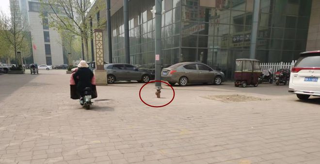 小心注意！德州城区某小区门口很多车辆纷纷“中招”究竟咋回事？(图9)