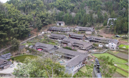 没有茶树的茶园坑村(图1)