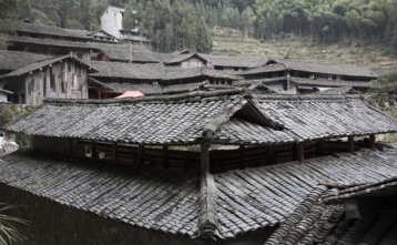 没有茶树的茶园坑村(图9)