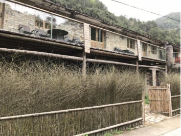 没有茶树的茶园坑村(图10)