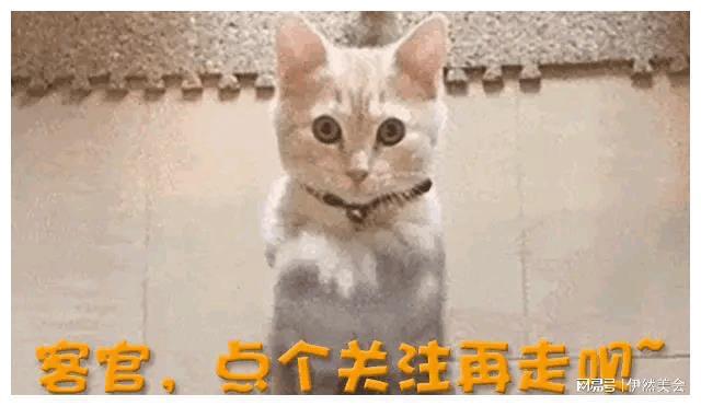 假唱修音没底线湖南这一夜狠狠撕开了华语乐坛的遮羞布(图5)