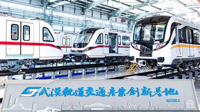 龙头企业落户黄陂(图3)