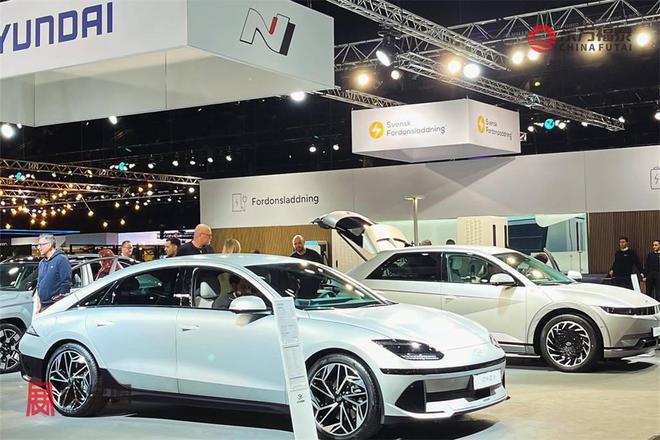 2024年瑞典哥德堡新能源电动车及充电桩展eCarExpo2024(图36)