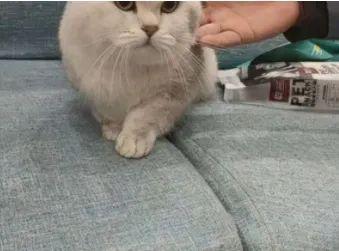 泗洪最新房屋出租家政服务等请猛戳这里(图3)