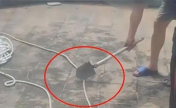 业主砍断工人高空安全绳后续(图2)