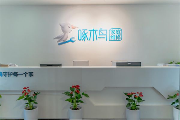 全国规模第一重庆啄木鸟网络科技有限公司开启家庭维修行业新篇章(图3)