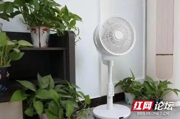 高温来袭除了空调你家还有哪些降温神器度过炎炎夏日？(图2)