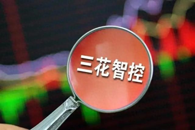 “三花智控”独霸热管理还有成长性吗？(图1)