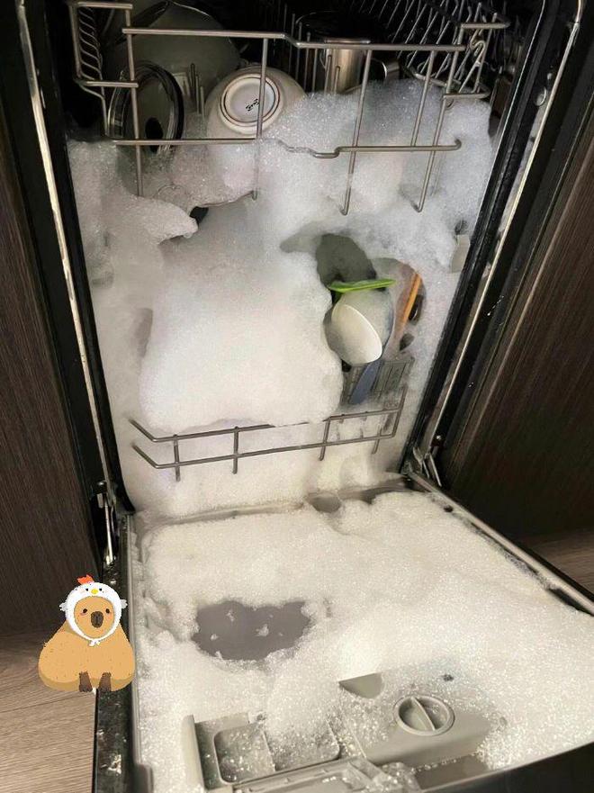 “买得起用不起”若家里不是很有钱线种电器(图5)
