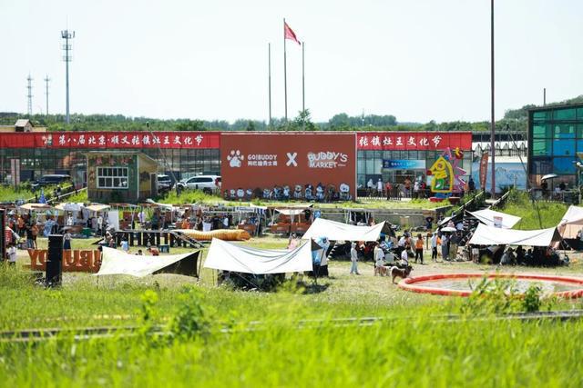 顺义张镇：拉满弓铆足劲奋力冲刺“开门红”(图5)