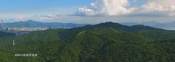 ◈华联城市中心丨华联城市中心售楼处发布：精奢国际住区(图7)