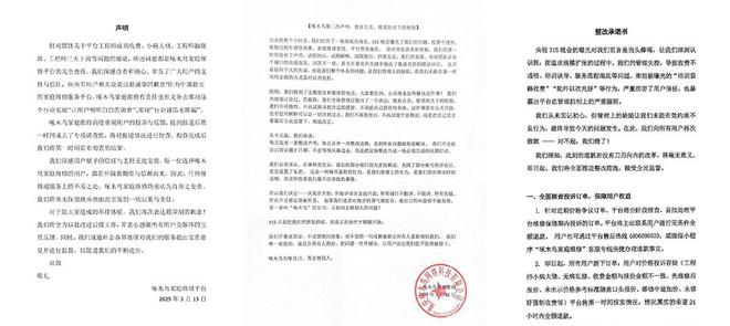 啄木鸟被央视315晚会曝光后提六大整改措施赴港IPO前路未卜