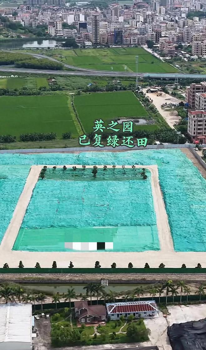 中国速度！不到一周违建英之园复绿还田从雄伟建筑到空留叹息(图1)