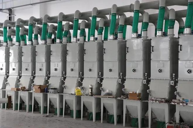 首批高品质母胶下线万套PCR全流程智造全面贯通(图2)