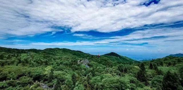 广安的十大土特产(图1)