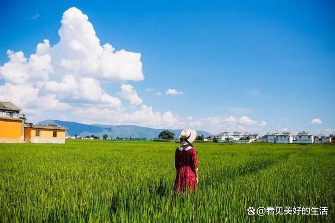 2-6人纯玩小包团旅游报价去云南旅游的花费(图1)