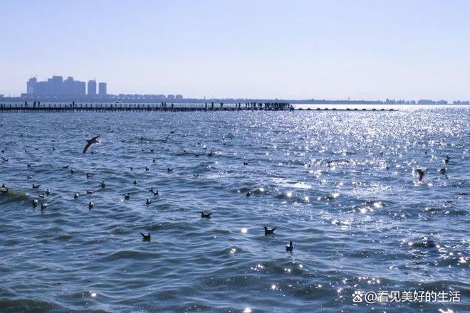 2-6人纯玩小包团旅游报价去云南旅游的花费(图3)
