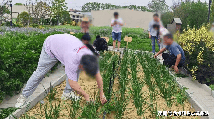 2025尚湾林语(售楼处)首页网站-尚湾林语营销中心-欢迎您楼盘详情最新价格-户型图-容积率@售楼处(图17)